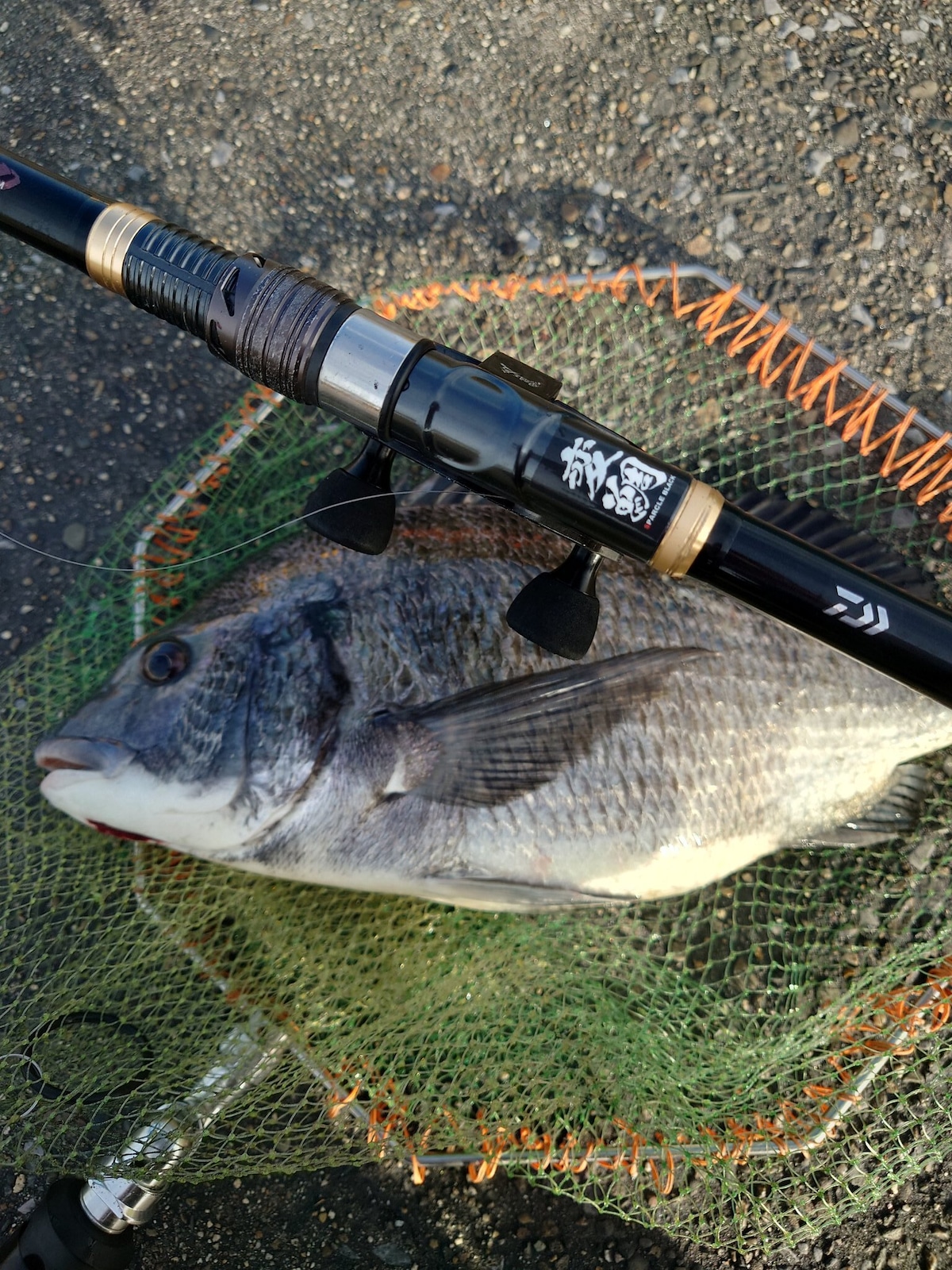 変鯛ステッカーミニ